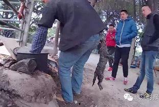 佛山罗村爆料最新消息今天,最新爆料揭示惊人真相!”