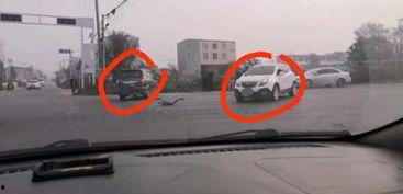 杞县南车祸最新爆料,事故原因及伤亡情况披露