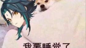 原神最新爆料内鬼是谁呀,内鬼身份大揭秘!